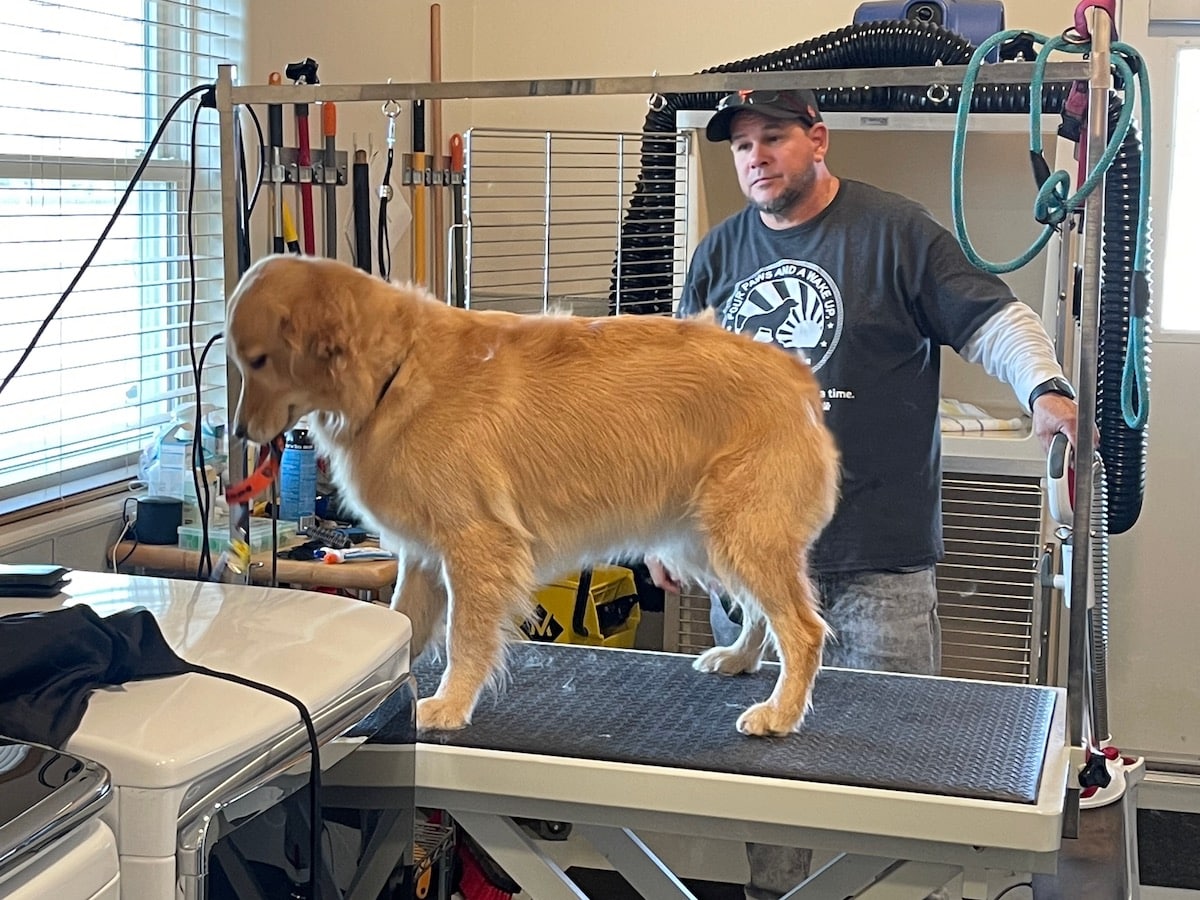 Four Paws and A Wake Up Las Cruces Nonprofit Serving Veterans Pattern Energy New Mexico