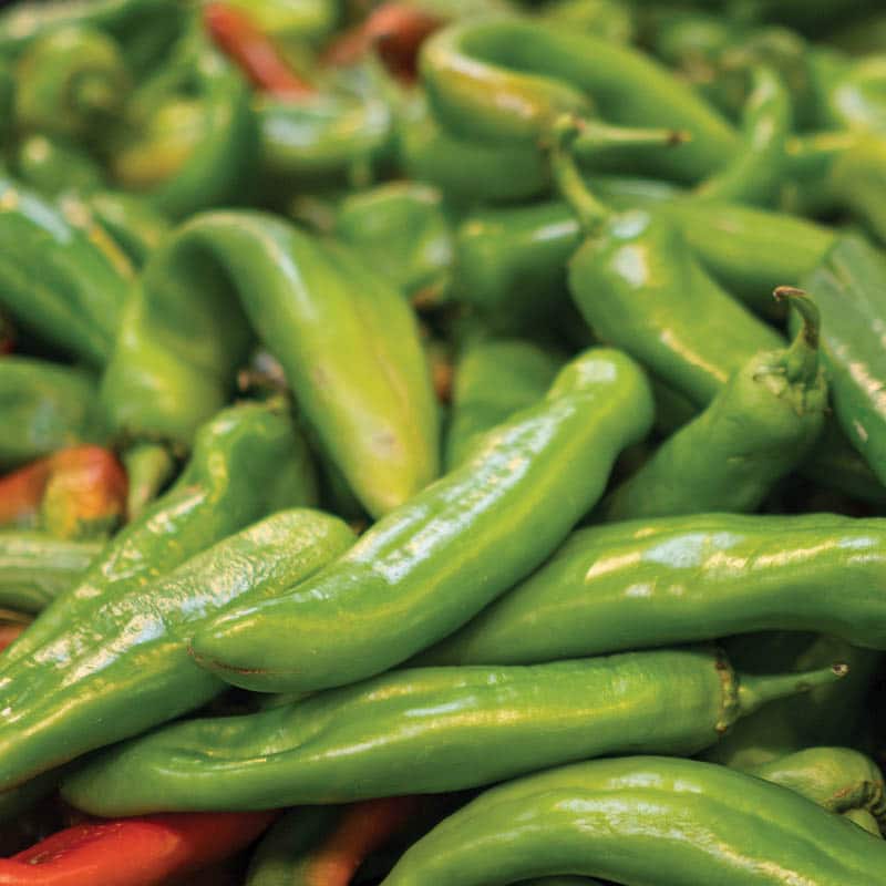 Get Ready for the 51st Annual Hatch Chile Festival Pattern Energy