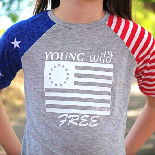 Stars and Stripes cut file Pattern Niche