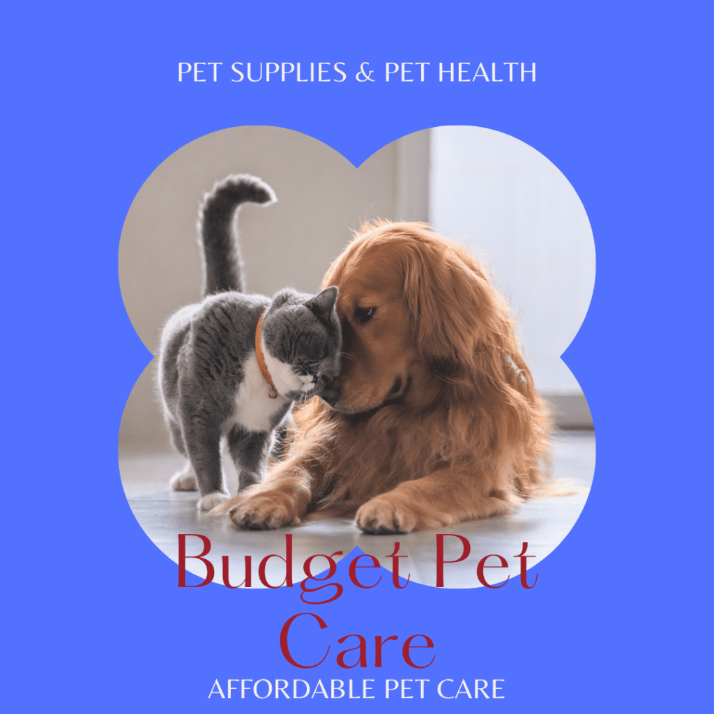 Savings Center Pattern Princess