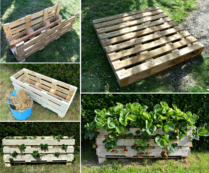 How to make a Wood Pallet Planter? 42 DIY Ideas Patterns Hub