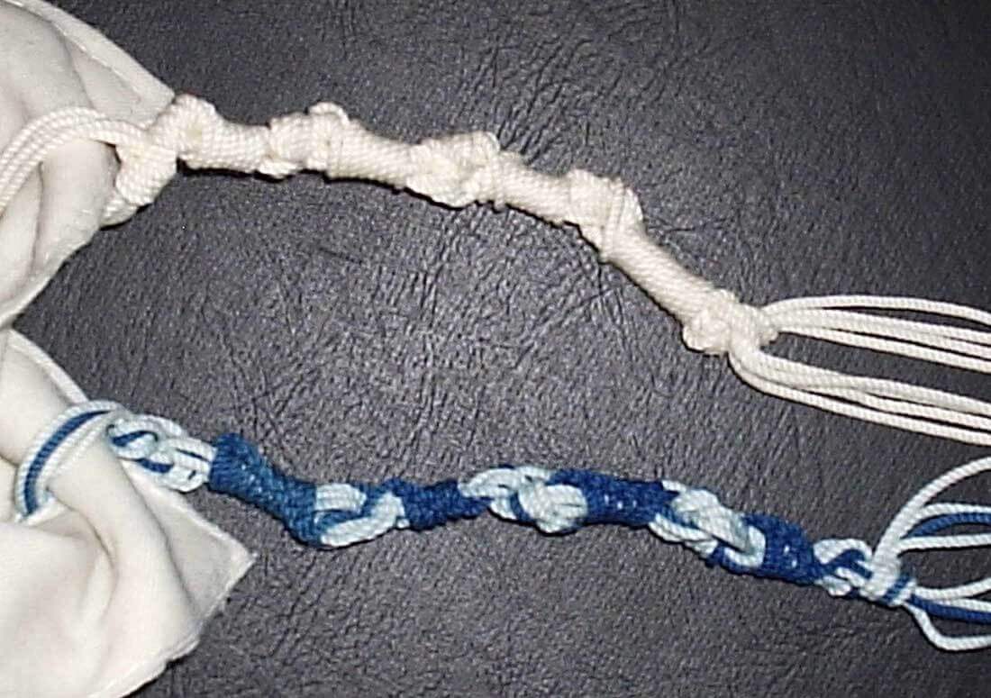 Archaeology Gives Clues to Biblical Plants and Animals Evidence4Creation