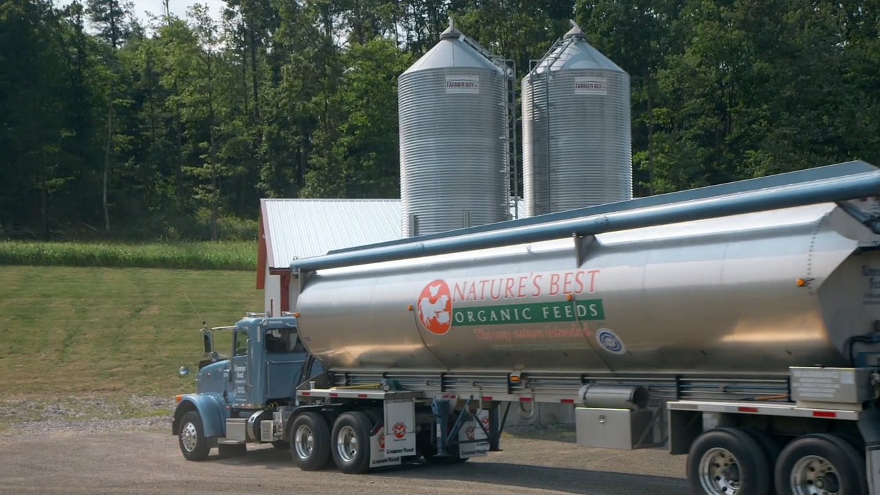 Portfolio Patterson Media Team