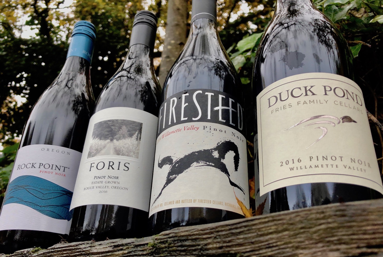 In search of good Pinot Noir...for less than 20 bucks. Our thoughts on