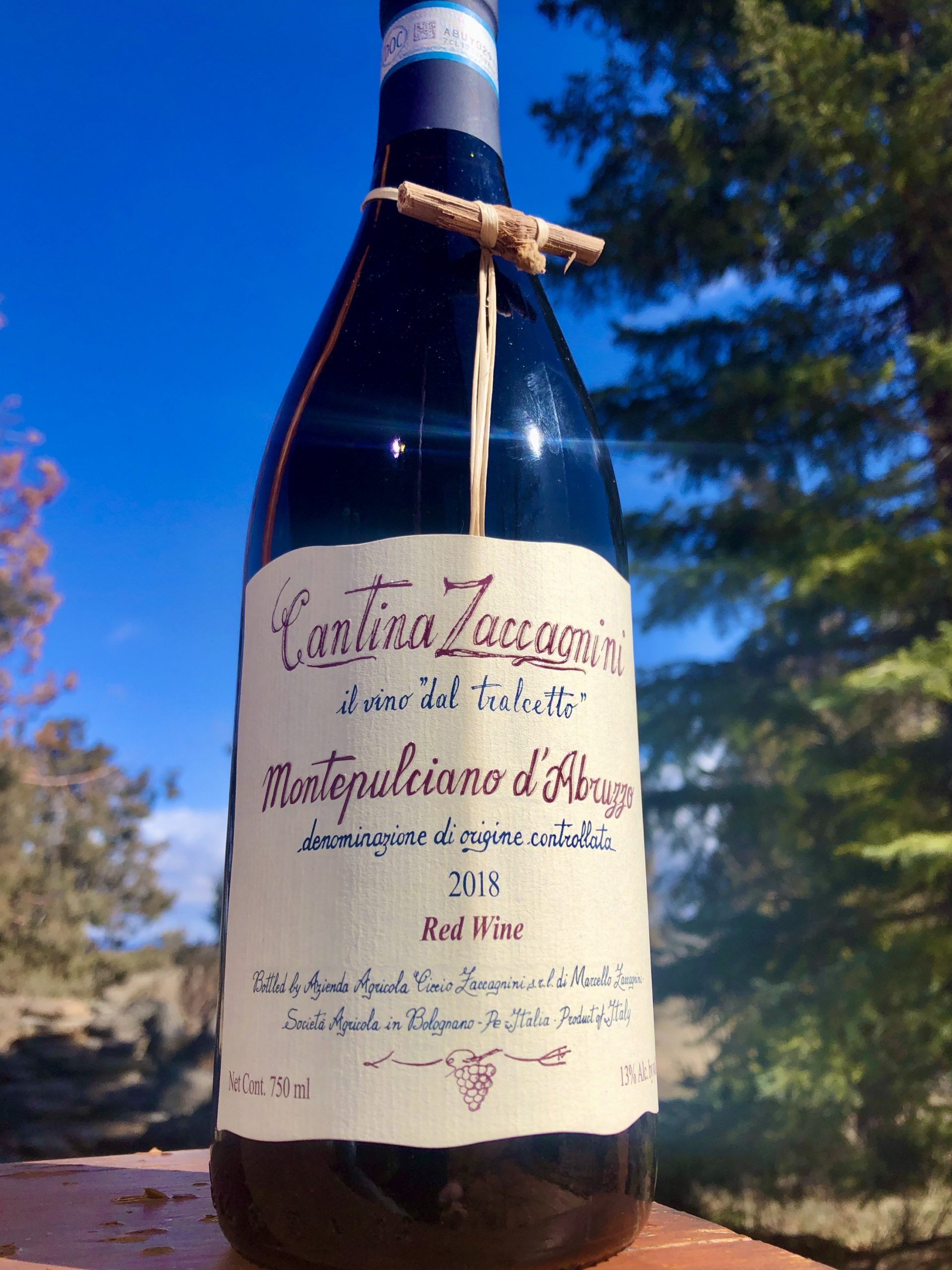 Robust Italian red 2018 Cantina Zaccagnini Pat The Wine Guy