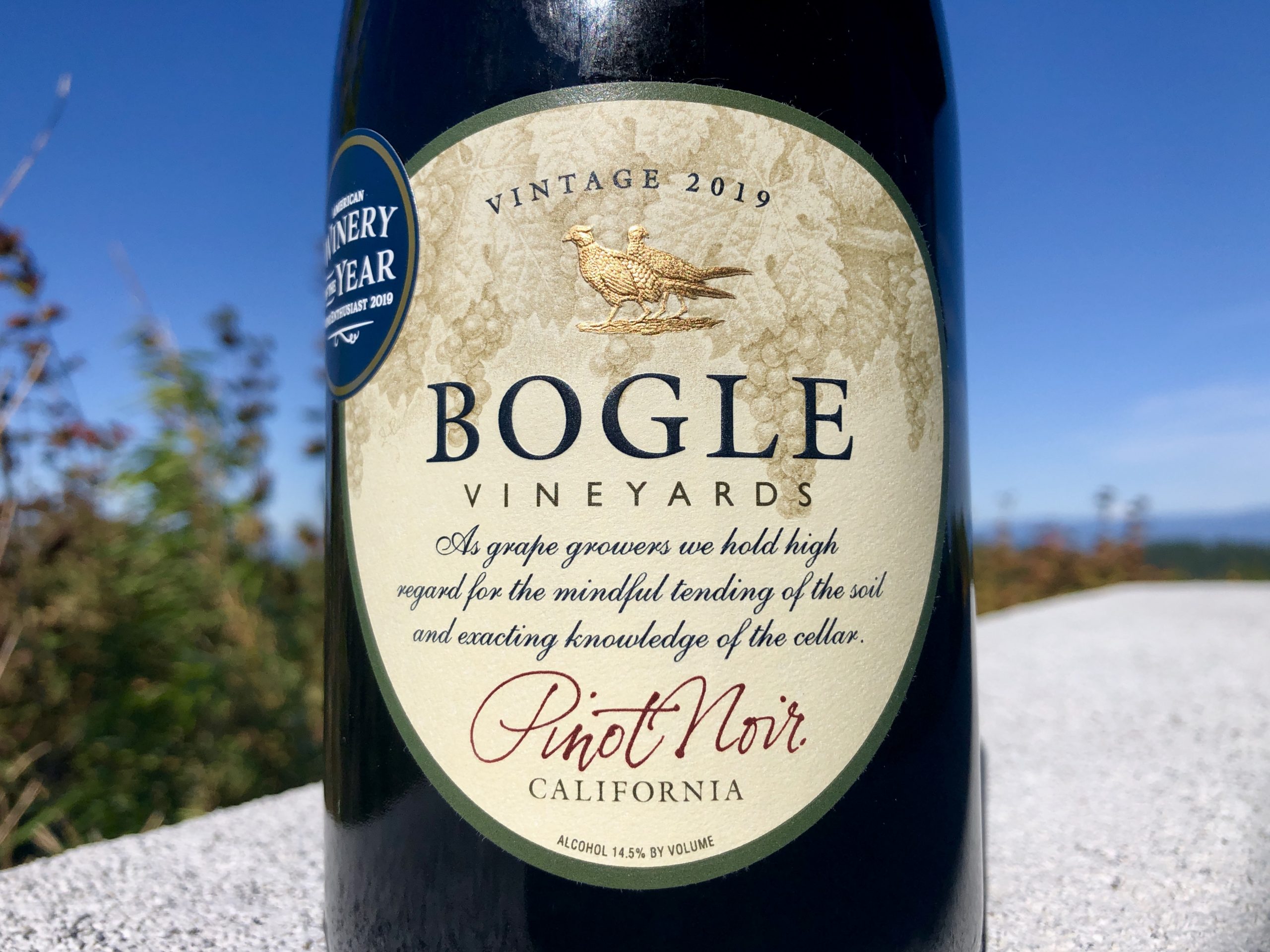 Cheap but drinkable Pinot Noir 2019 Bogle Pat The Wine Guy