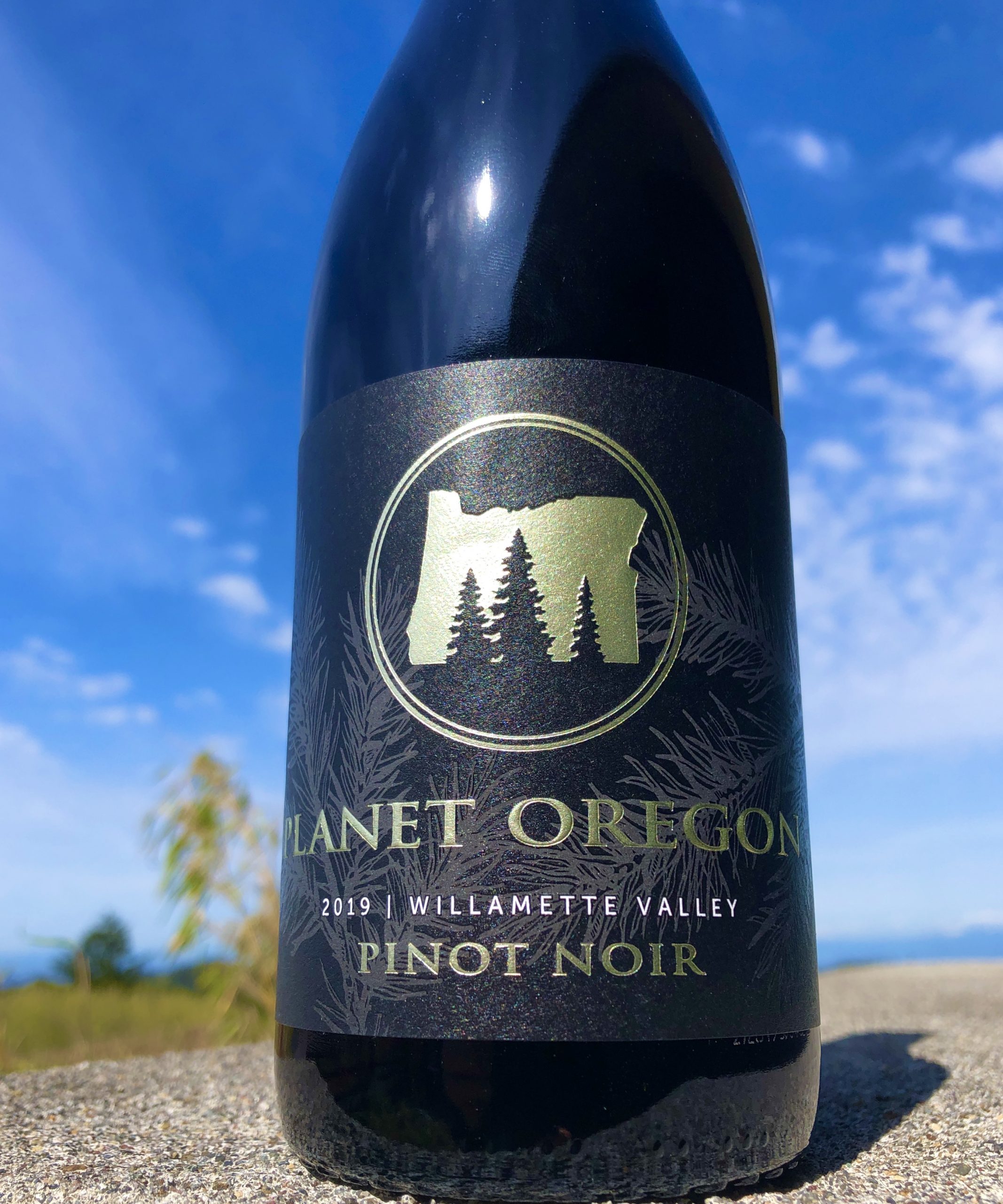 For Oregon Wine Month, 2019 Oregon Pinot Noir Pat The Wine Guy