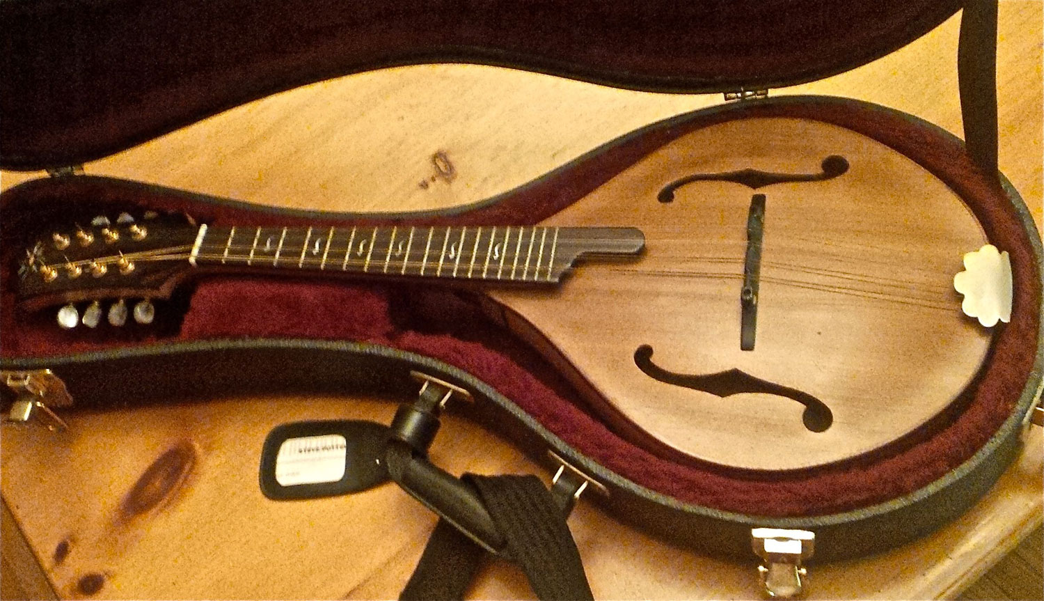 Cedar Topped AStyle Mandolin Pattison Stringed Instruments