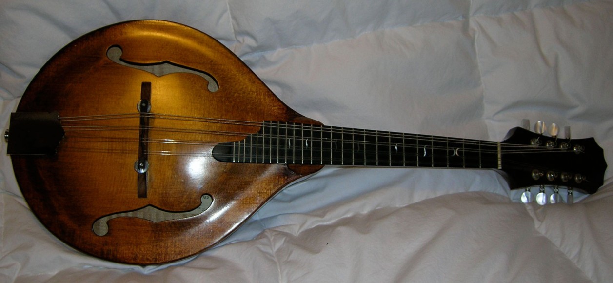 AStyle Mandolin Pattison Stringed Instruments