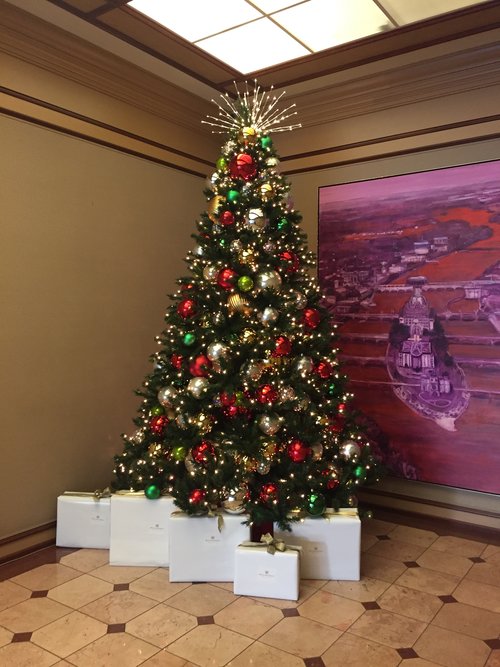 The Best Christmas Tree For Your Home Patton’s Christmas Trees Dallas
