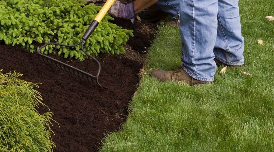 Mulch Buy in Bulk or Bagged Mulch Online Patuxent Nursery