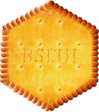 bscui logo