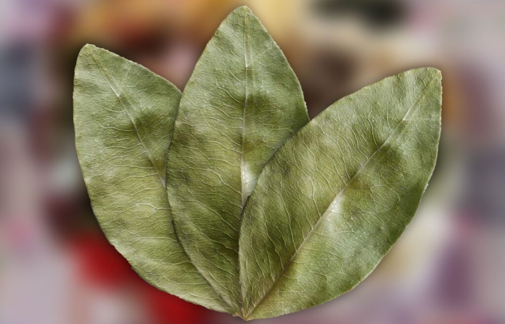 LECTURA DE HOJAS DE COCA el oráculo andino