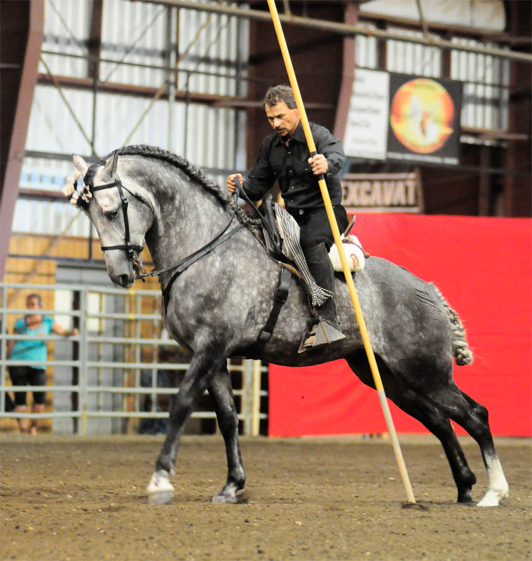 Gallery Paul Dufresne Horse training clinics for performance and