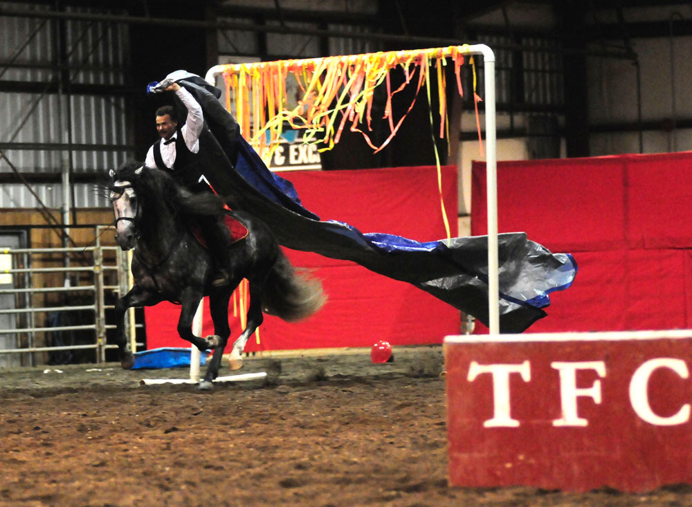 Gallery Paul Dufresne Horse training clinics for performance and