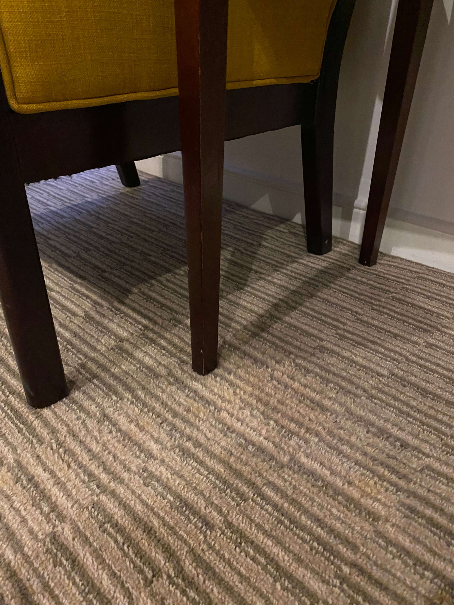 Coffee Stain Removal on Wool Carpet Paul Dyson