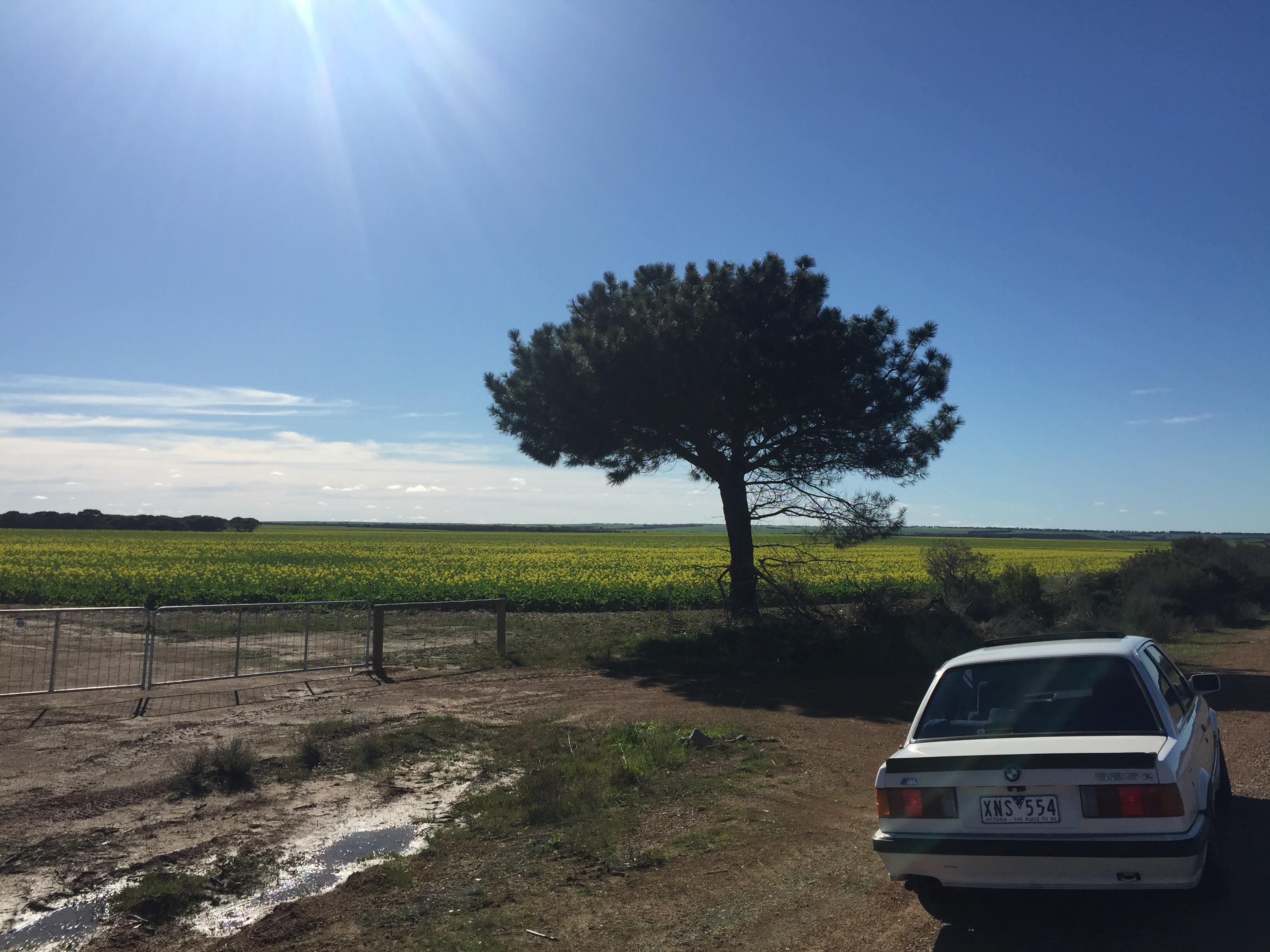 Unexpected Esperance Paul goes back to Melbourne