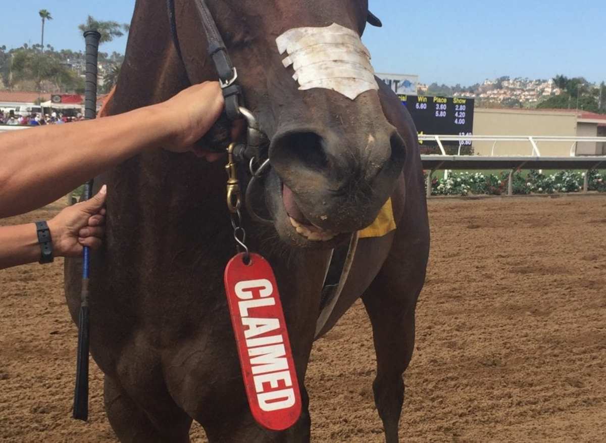 The Friday Show Presented By Woodbine Maggi Moss On New Challenges In