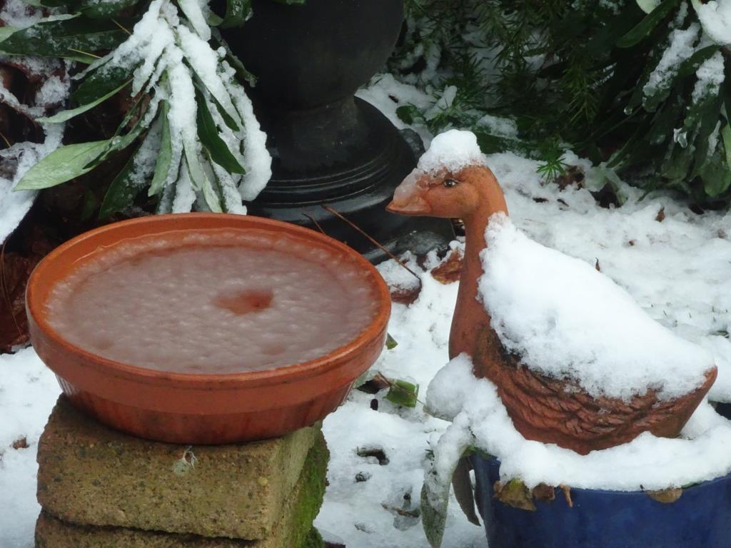 Snow and ice at Blackheath