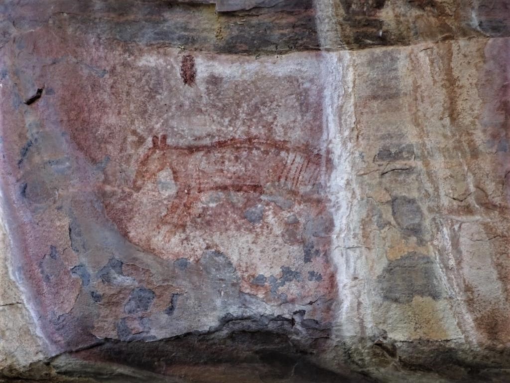 Thylacine in rock art at Kakadu..Northern Territory.