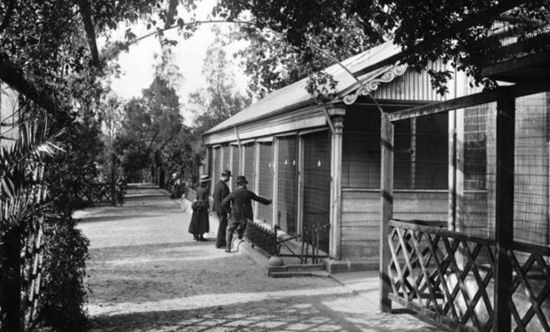 The aviary at Sydney Botanic Garden