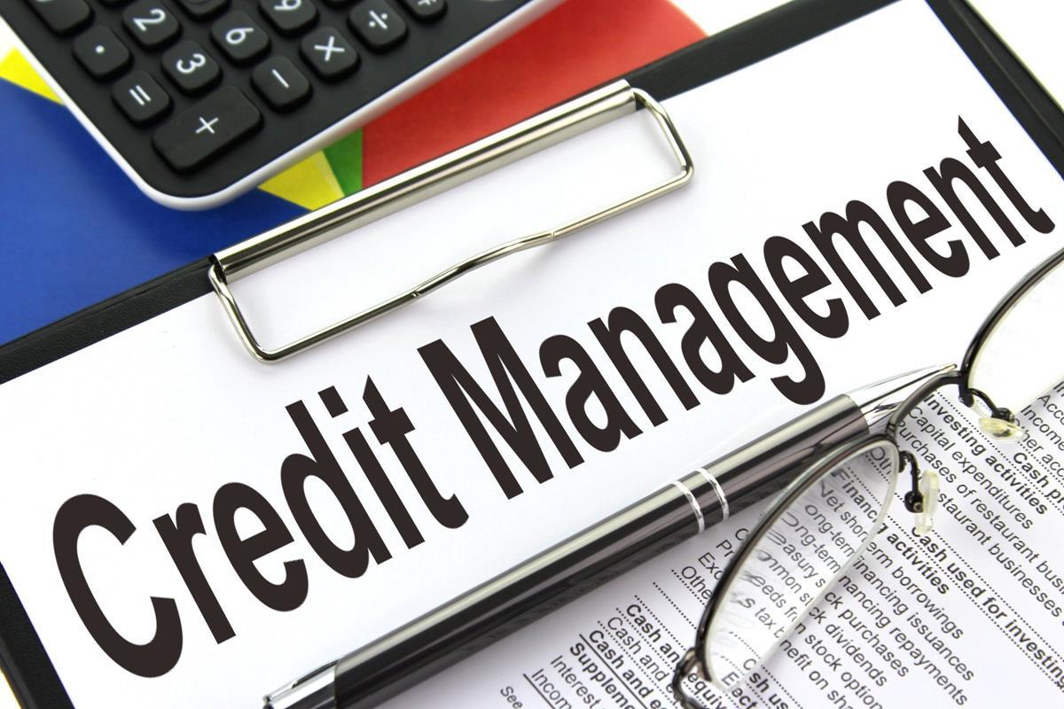 Global Credit Management Software Market Size, Share, Development