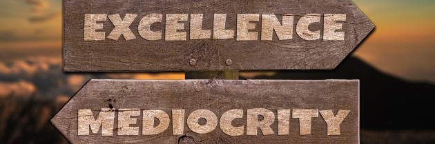 The Role of Leadership in Driving Excellence Paul Keijzer
