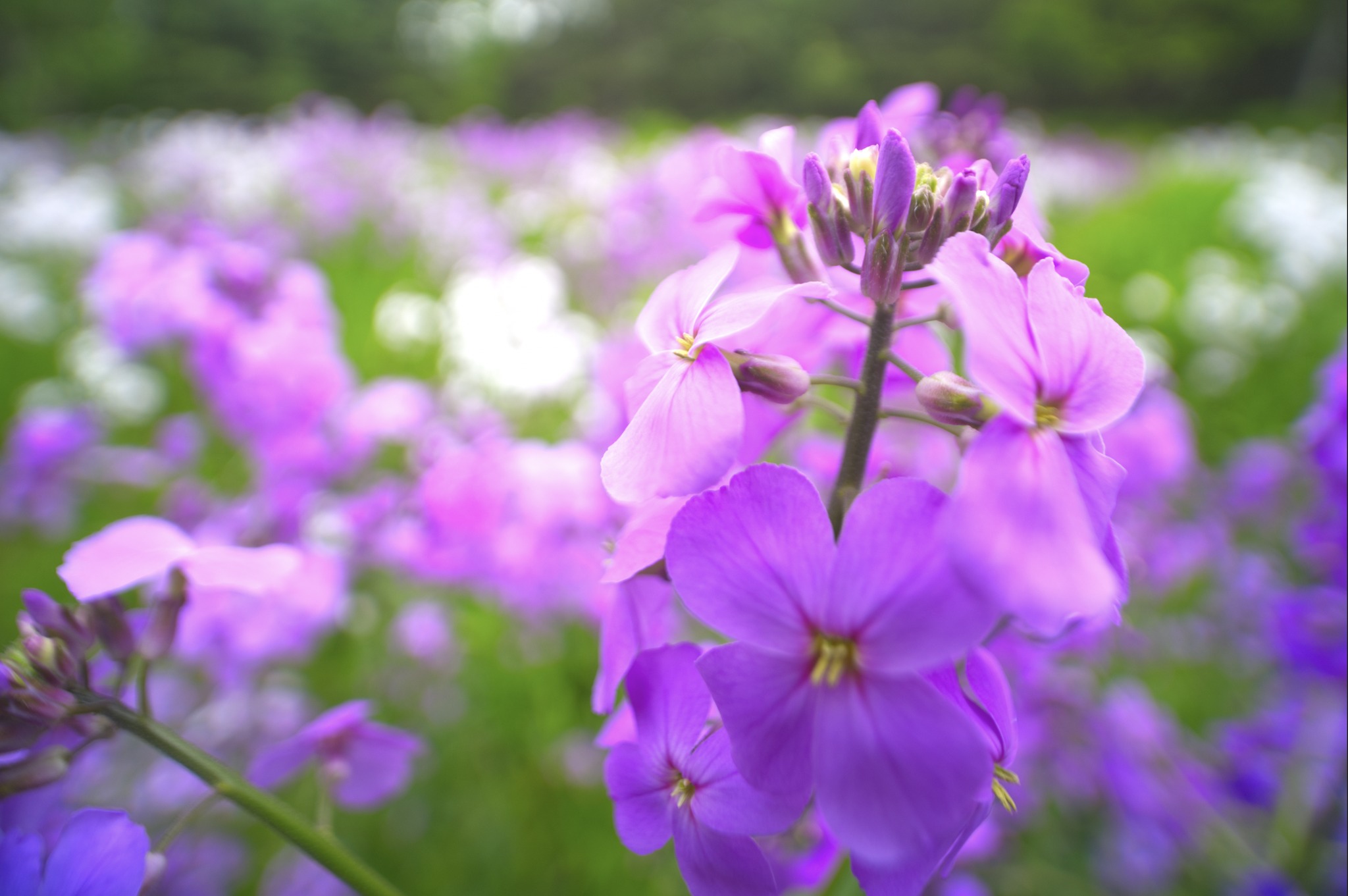 Recent photos Lubec, Maine Paul Maher Jr.