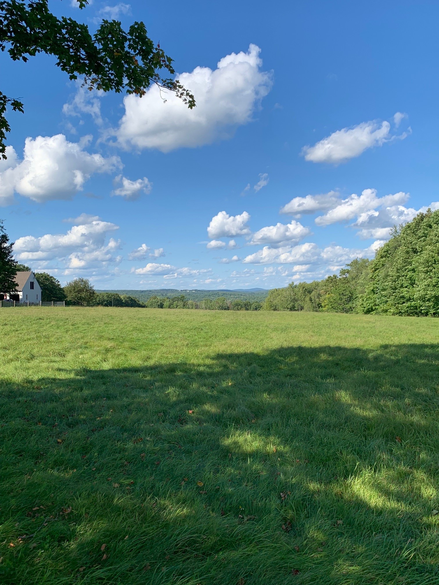 Deerfield, NH Absolute Auction Paul McInnis, LLC