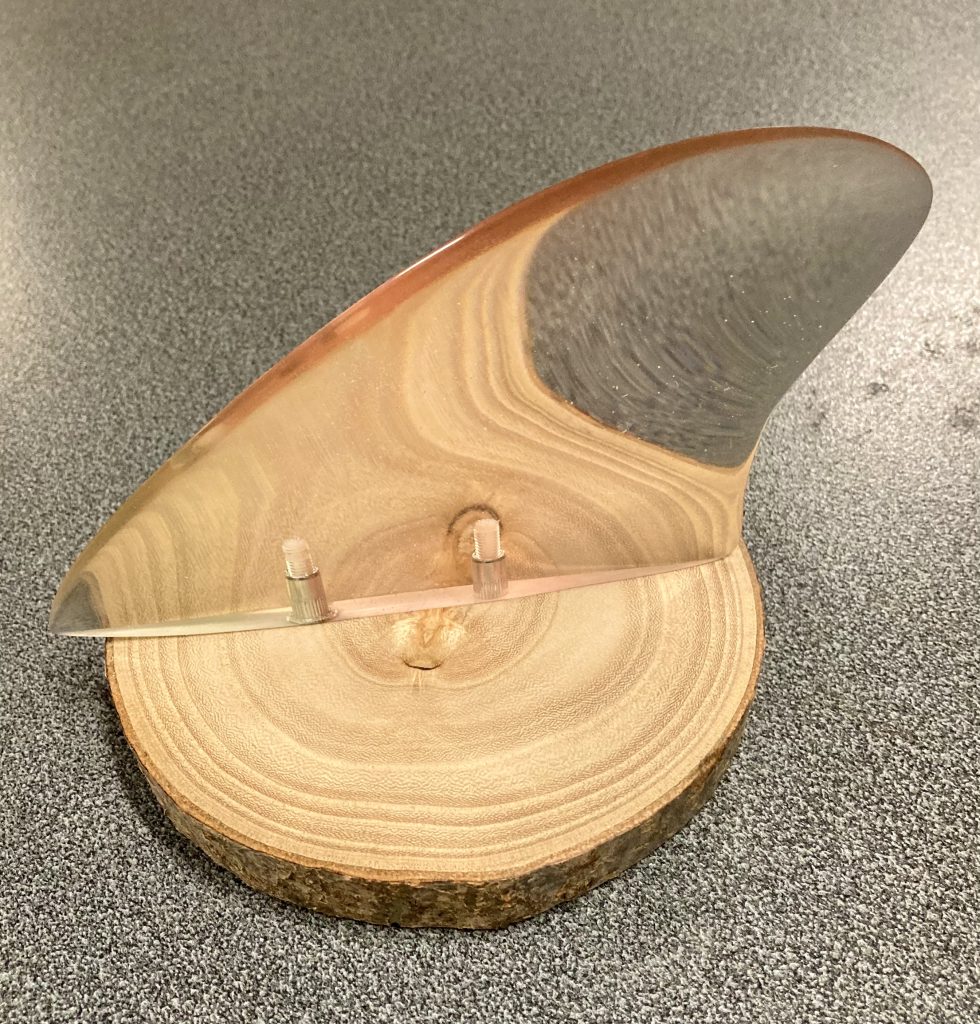 Natural Wood Slices Paulownia Natural Growers