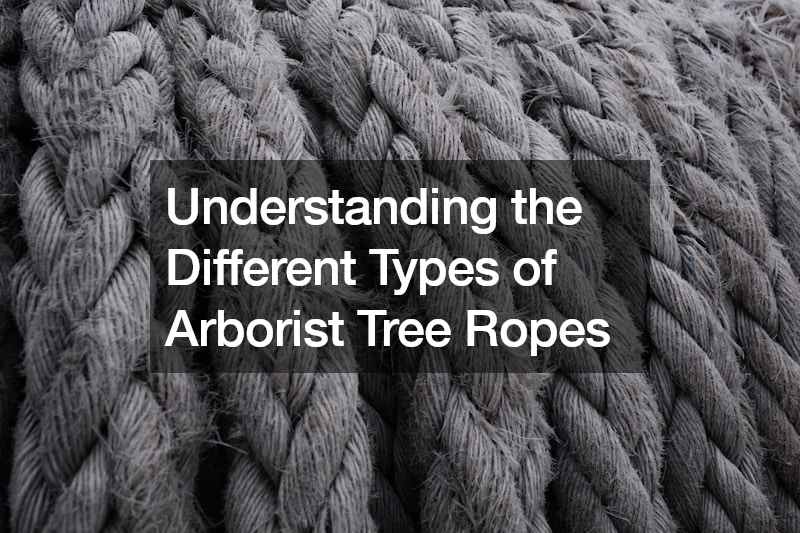 Understanding the Different Types of Arborist Tree Ropes Paul Schick