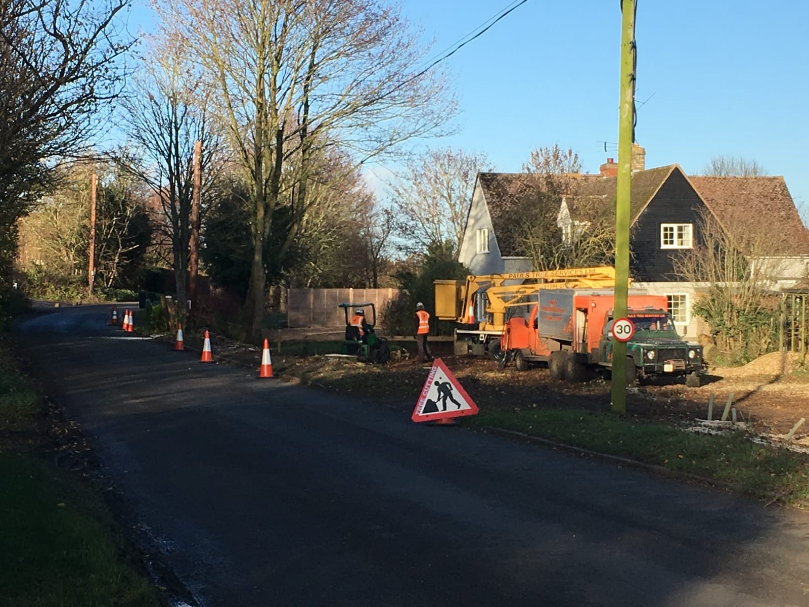 Gallery Pauls Tree Services