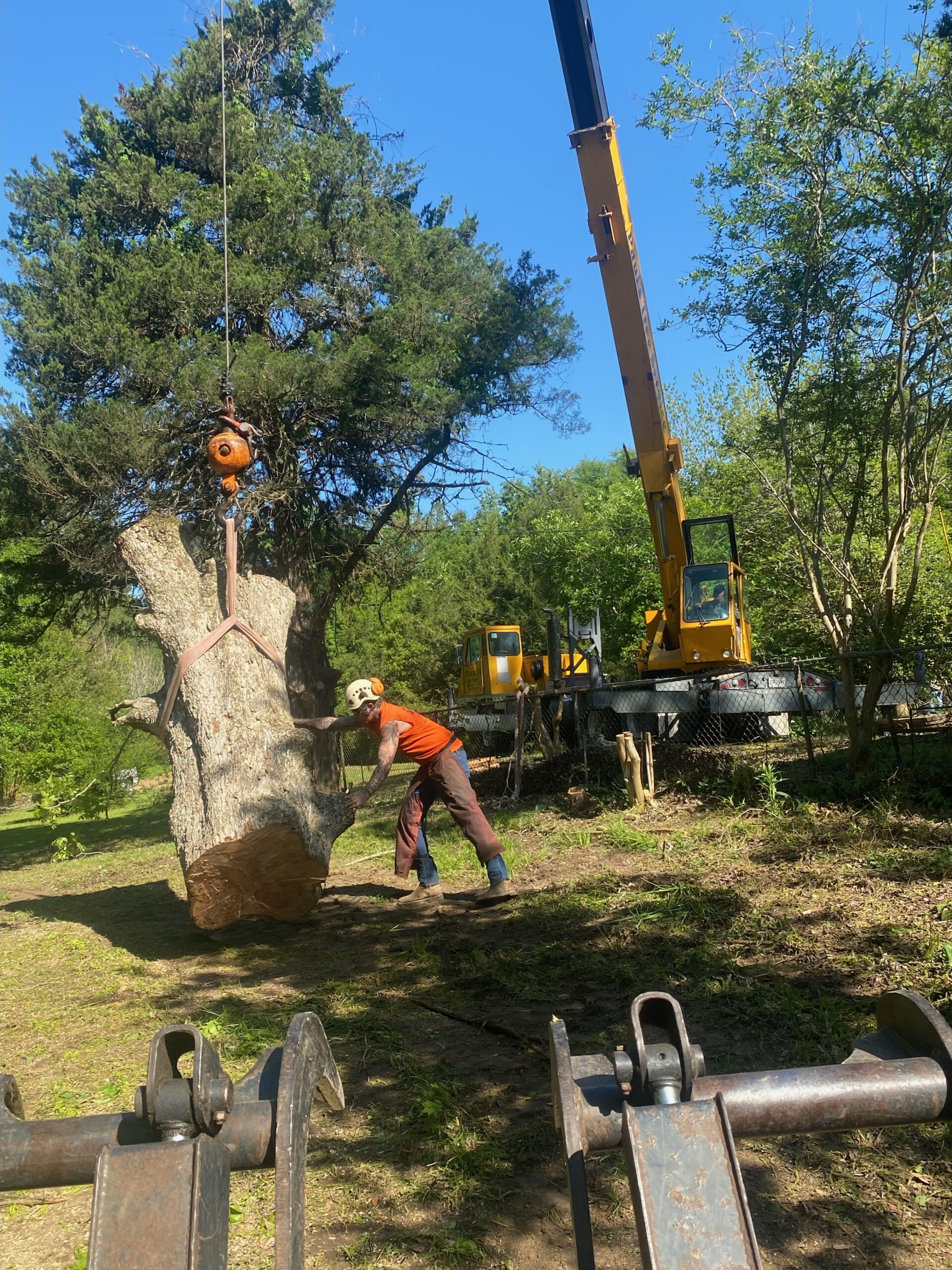 Our Work Paul's Tree Service