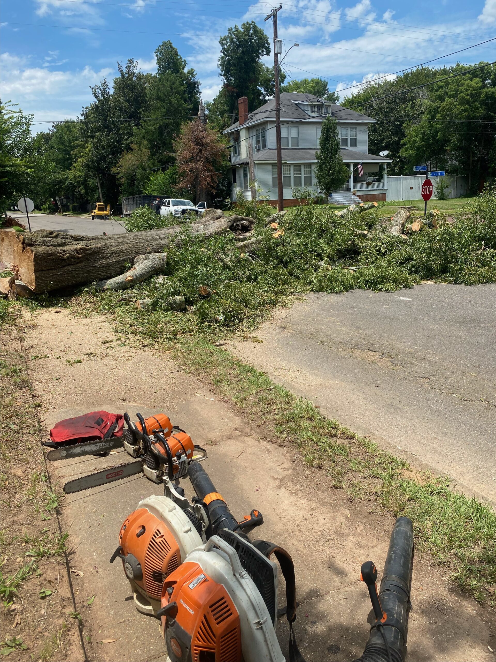 Our Work Paul's Tree Service