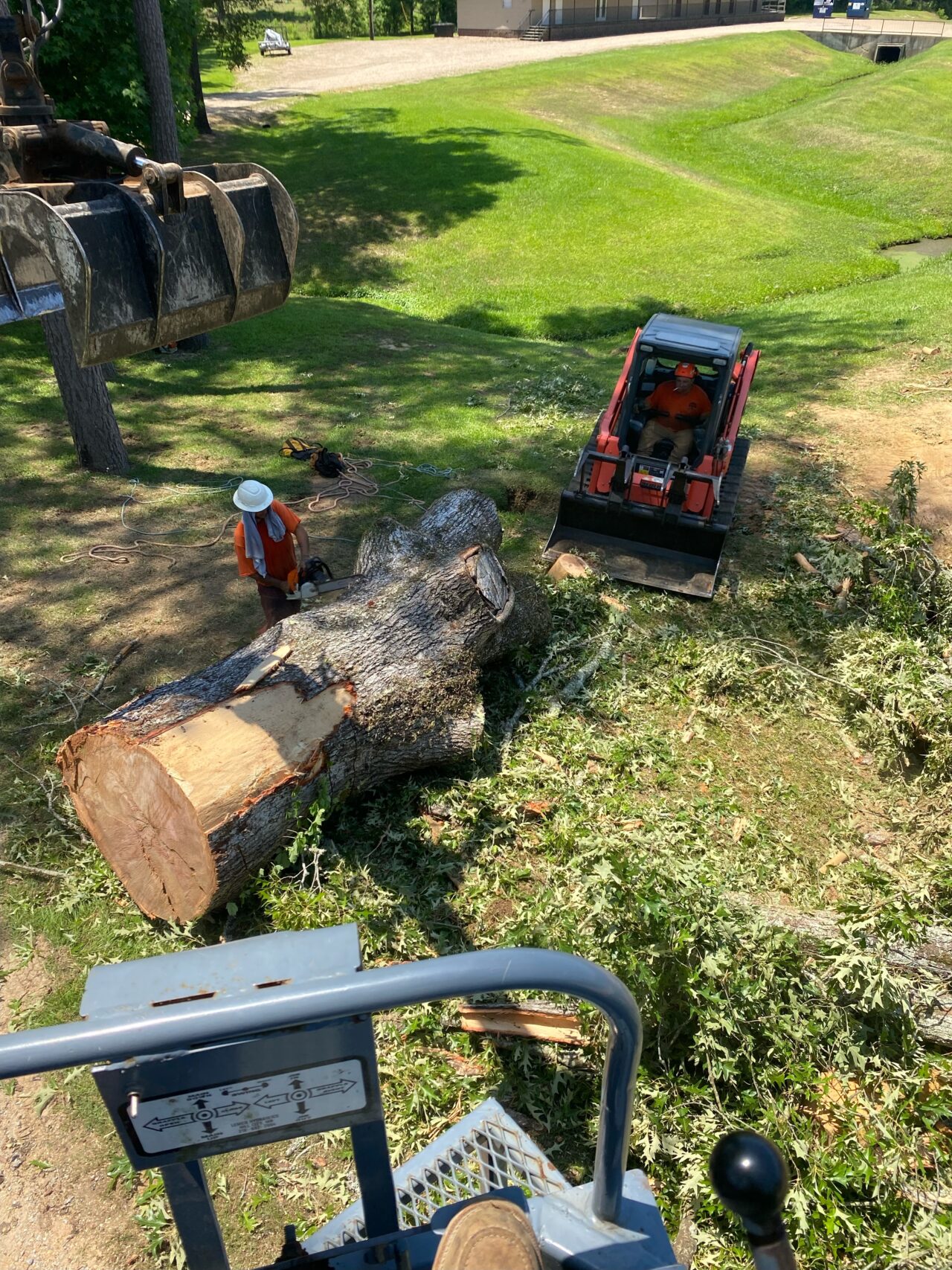 About Us Paul's Tree Service