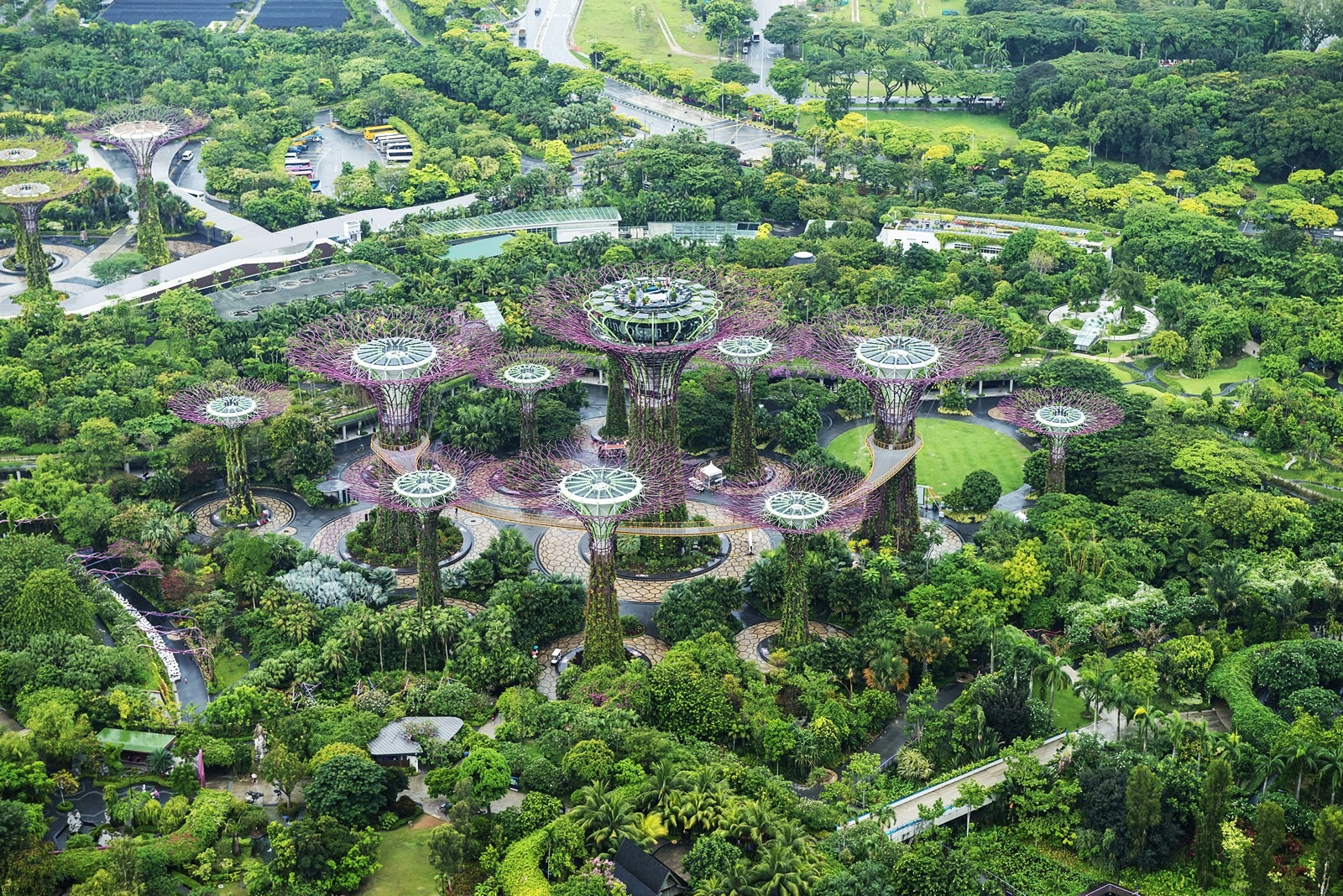 Singapore sky gardens Paul Ward Photography
