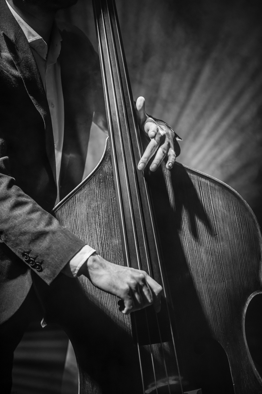 Double bass player Paul Ward Photography