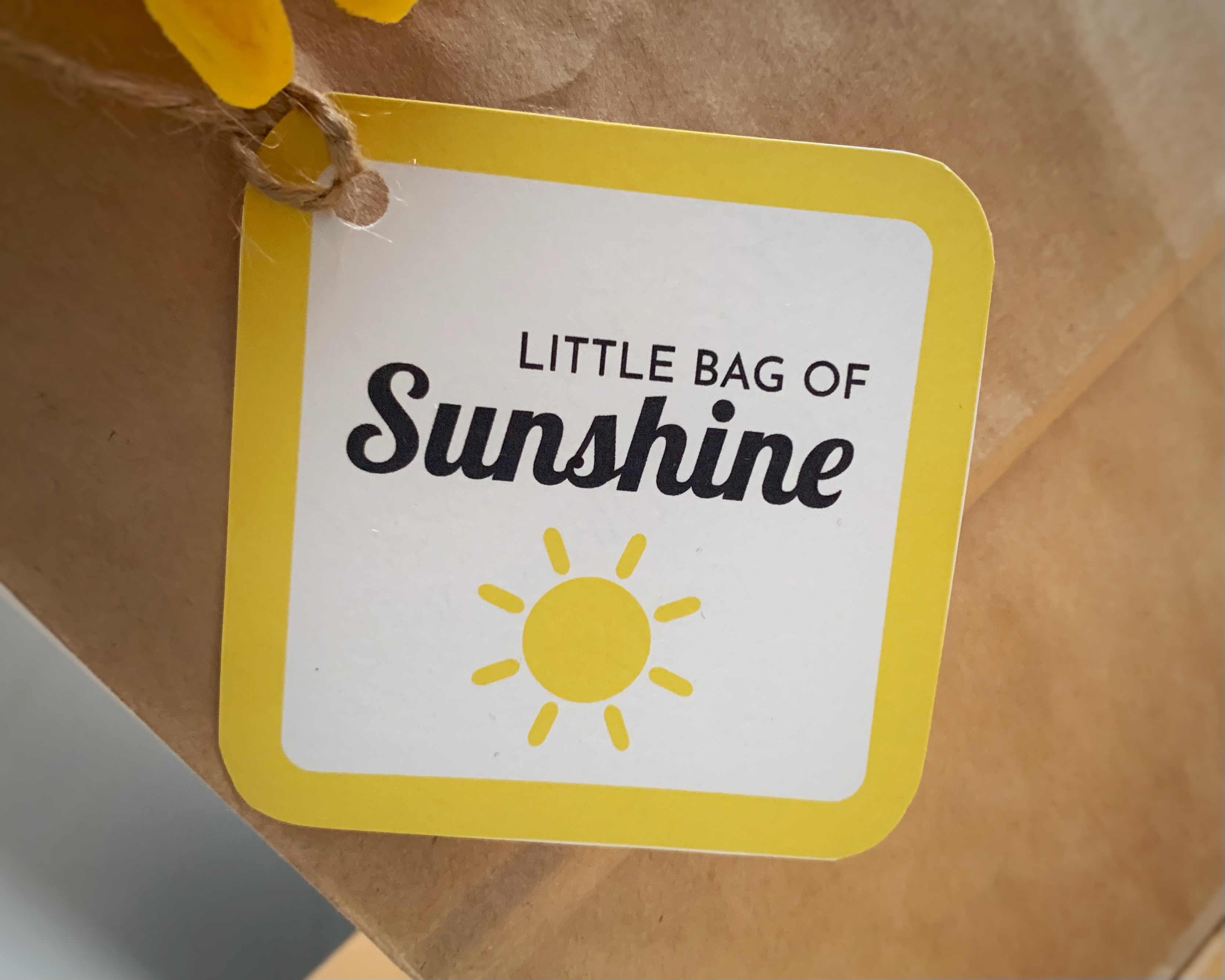 A Bag of Sunshine is the perfect gift Pause and Create