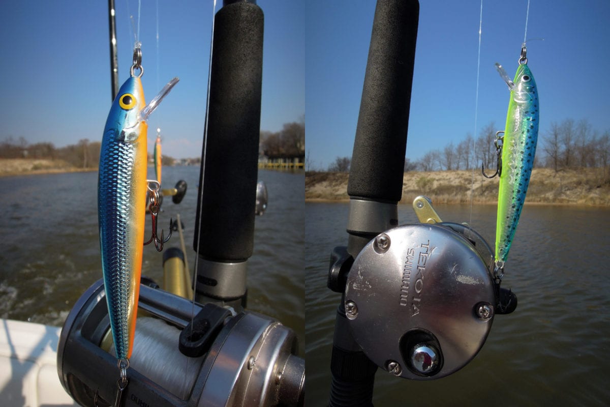 Brown Trout Showing Early On Lake Michigan's East Shore Pautzke Bait Co