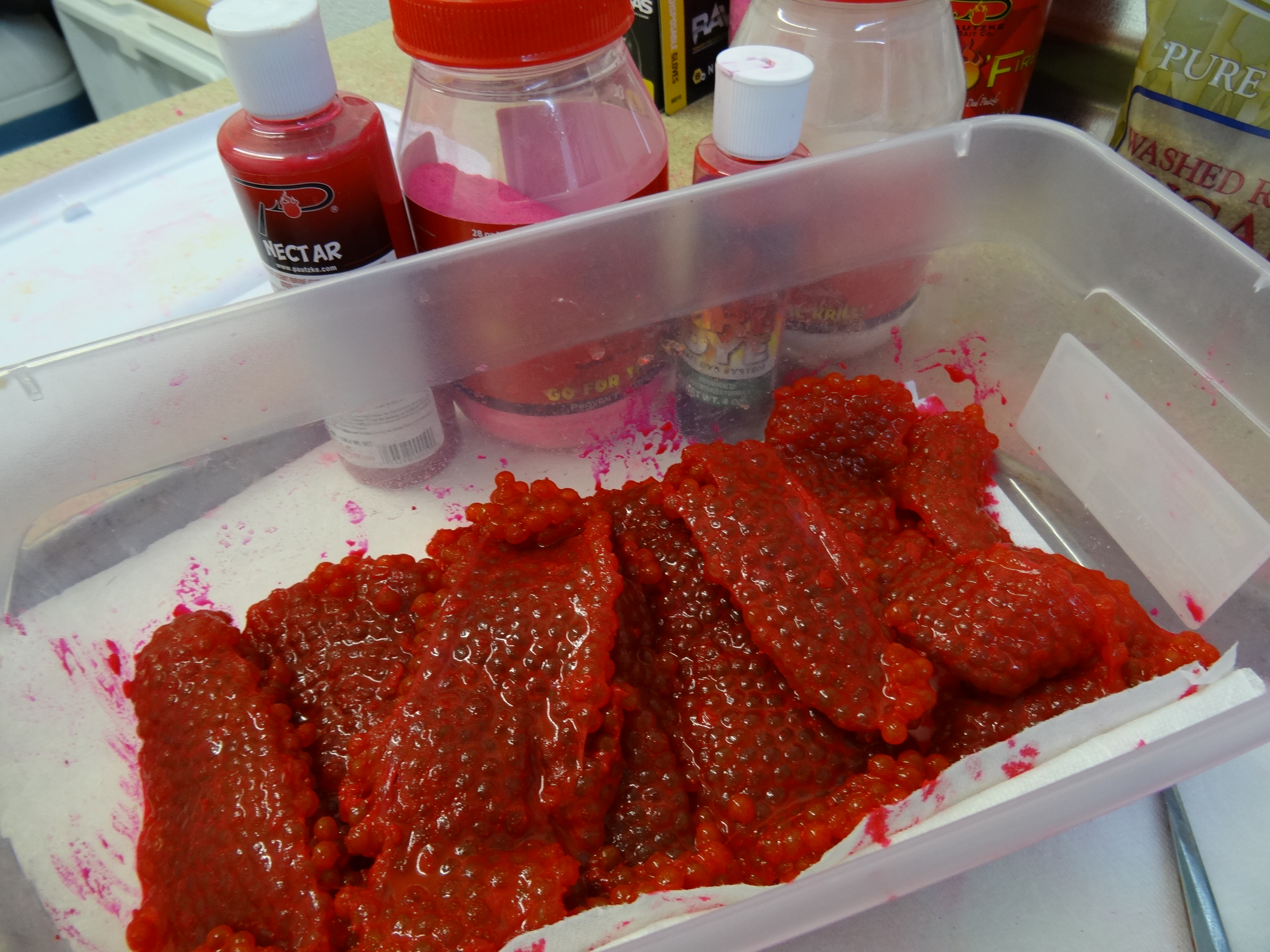 Learn to Cure Steelhead Eggs For All Conditions Pautzke Bait Co