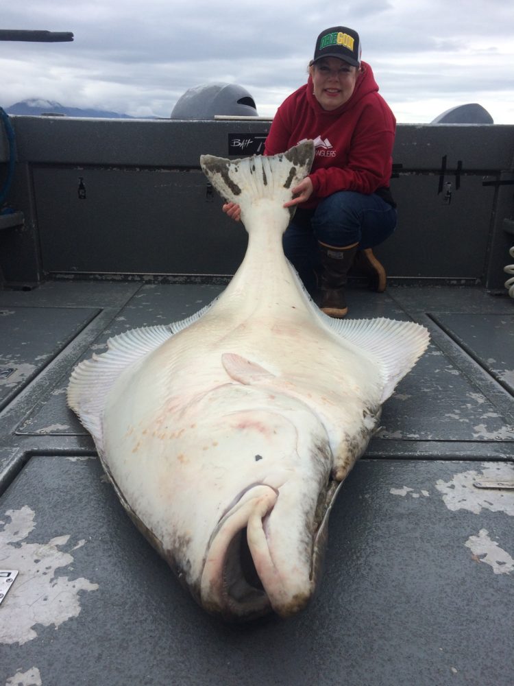 The Guide's Secret Bait to Catch Big Halibut Pautzke Bait Co