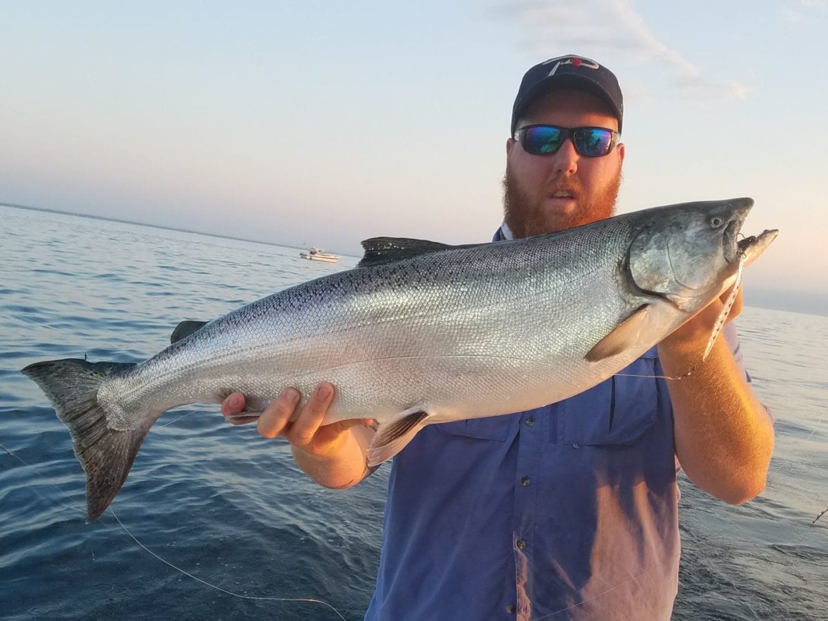Wisconsin Salmon Fishing Best in Many Years Pautzke Bait Co