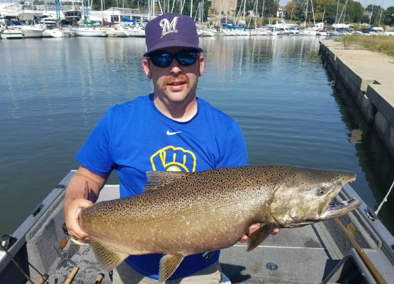 Wisconsin Salmon Bite Peaking Now Pautzke Bait Co