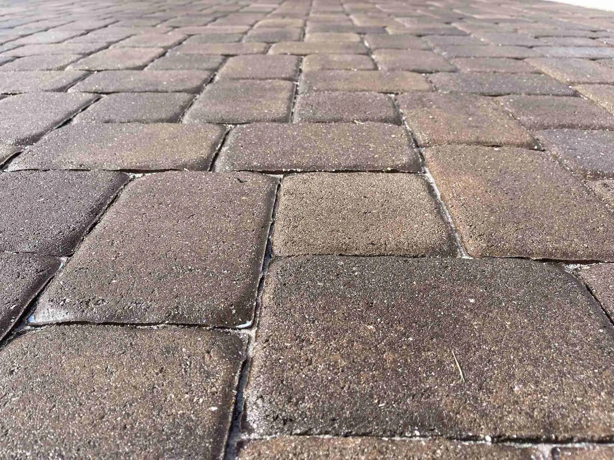 Water Based Paver Sealer Or Solvent Which Should I Use?