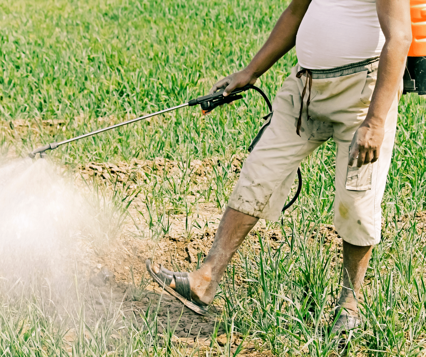 Pump Sprayers And Their Advantages The Paver Sealer Store