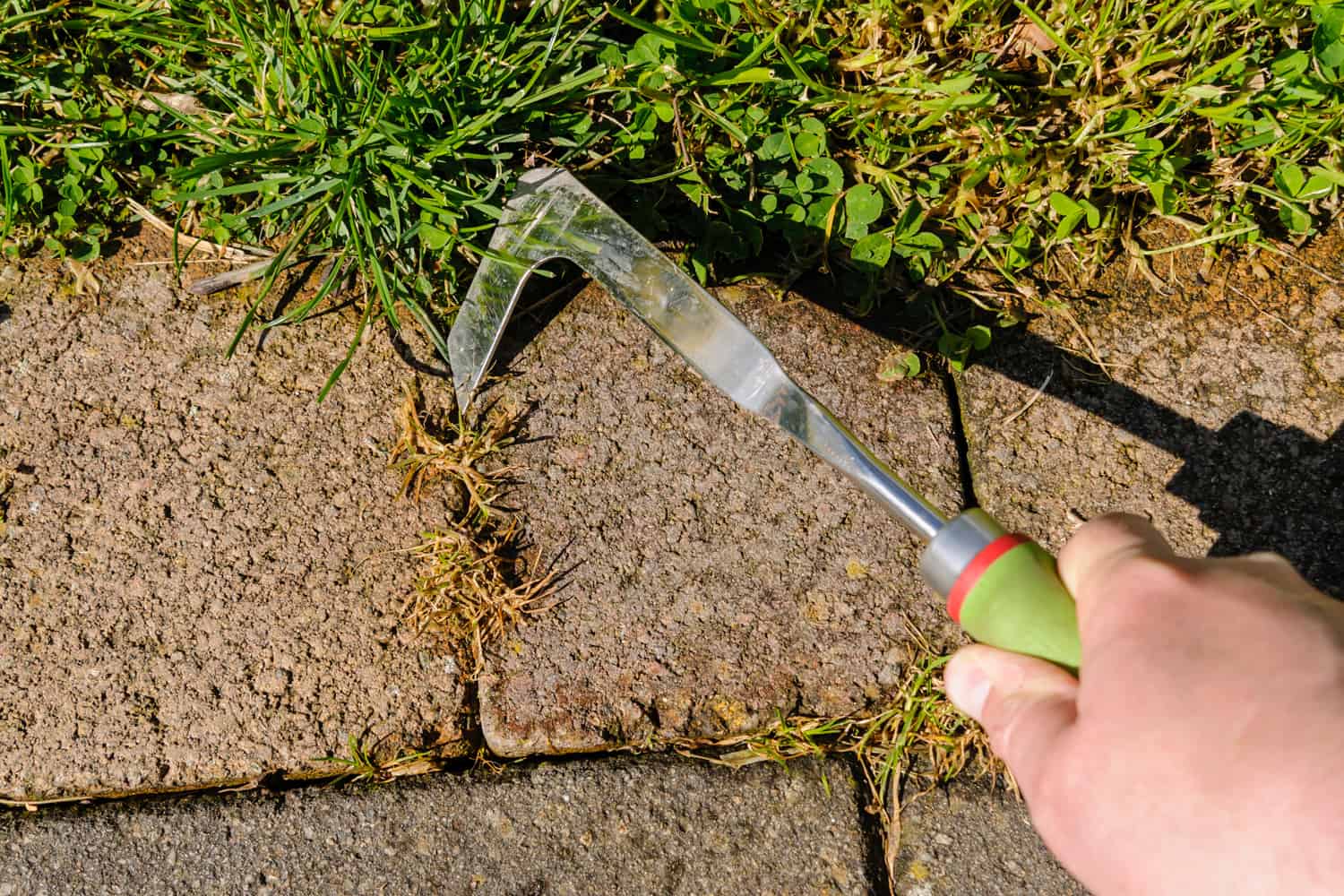 How To Remove Moss From Pavers