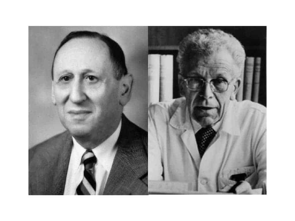 Deconstruyendo a Kanner (PDF) * Psyciencia