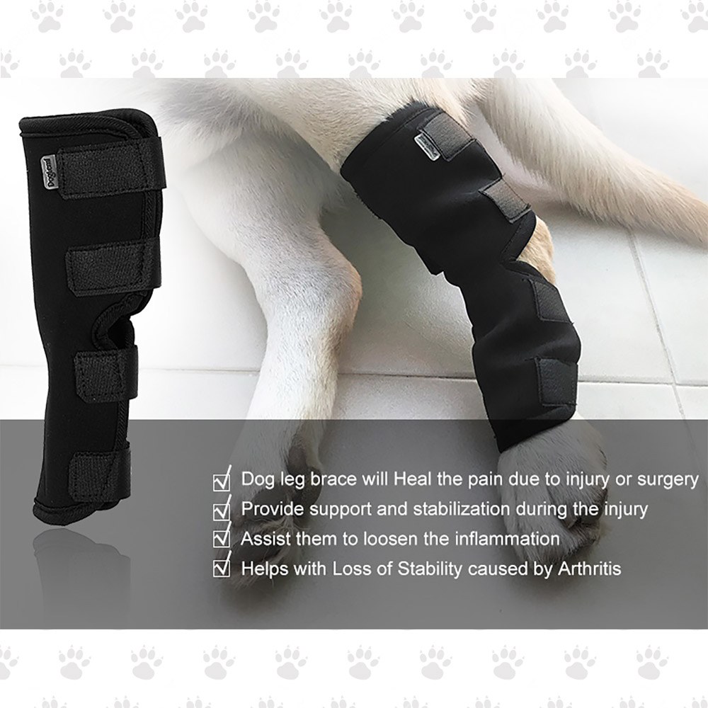 Neoprene Support Brace and Compression Wrap ( SXL) Paw 2 Paws