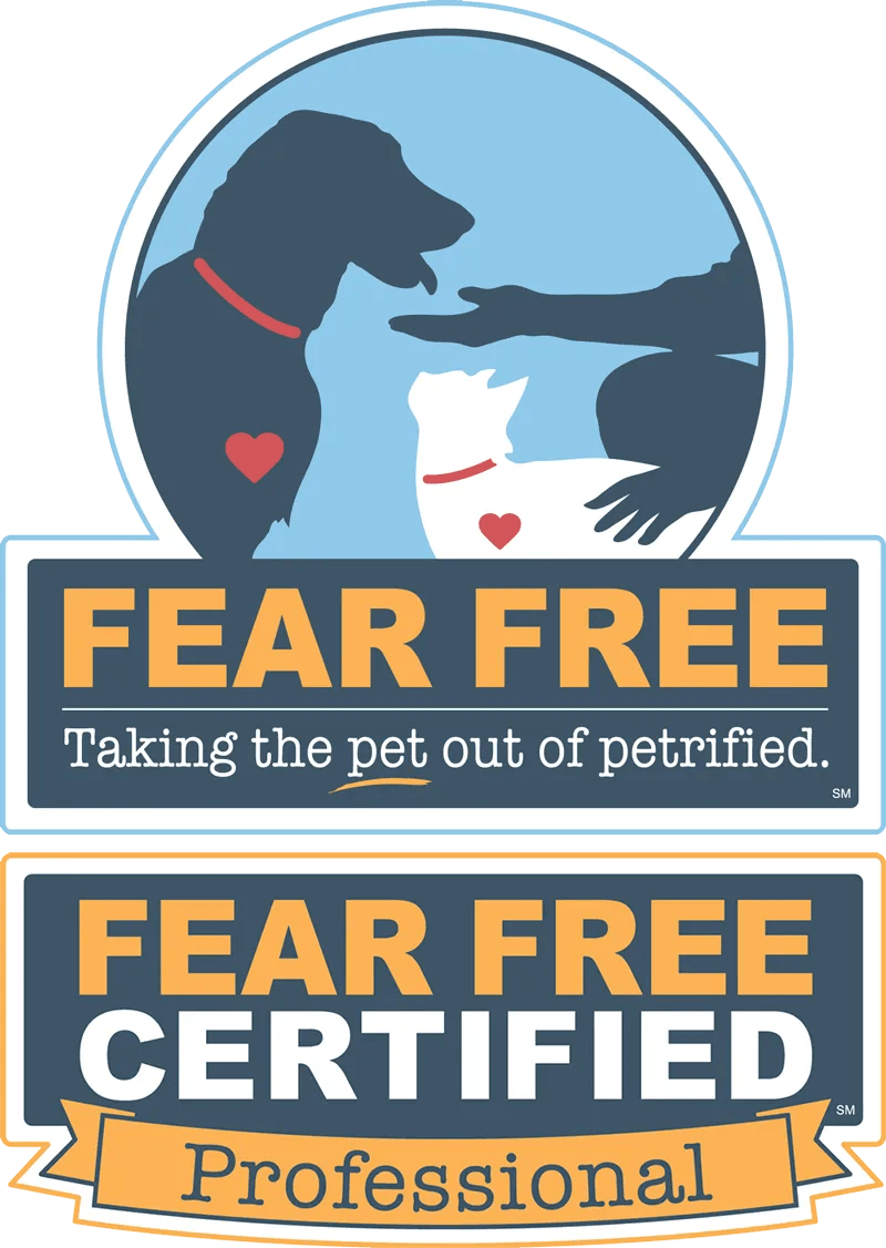 Contact Paw Behaviour