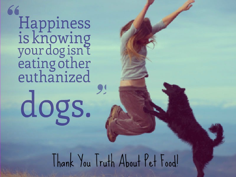 The Truth About Pet Food Research Pawcurious With Veterinarian and